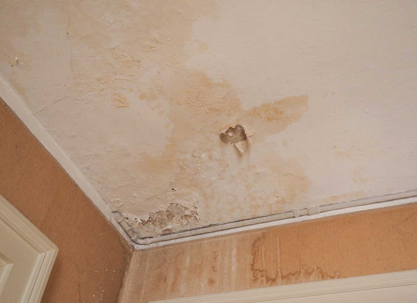 Ceiling-Damage-1