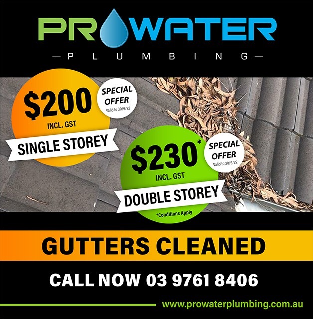 Gutters & Down Pipes Cleaned Lilydale