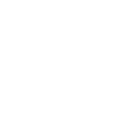 Local-Icon
